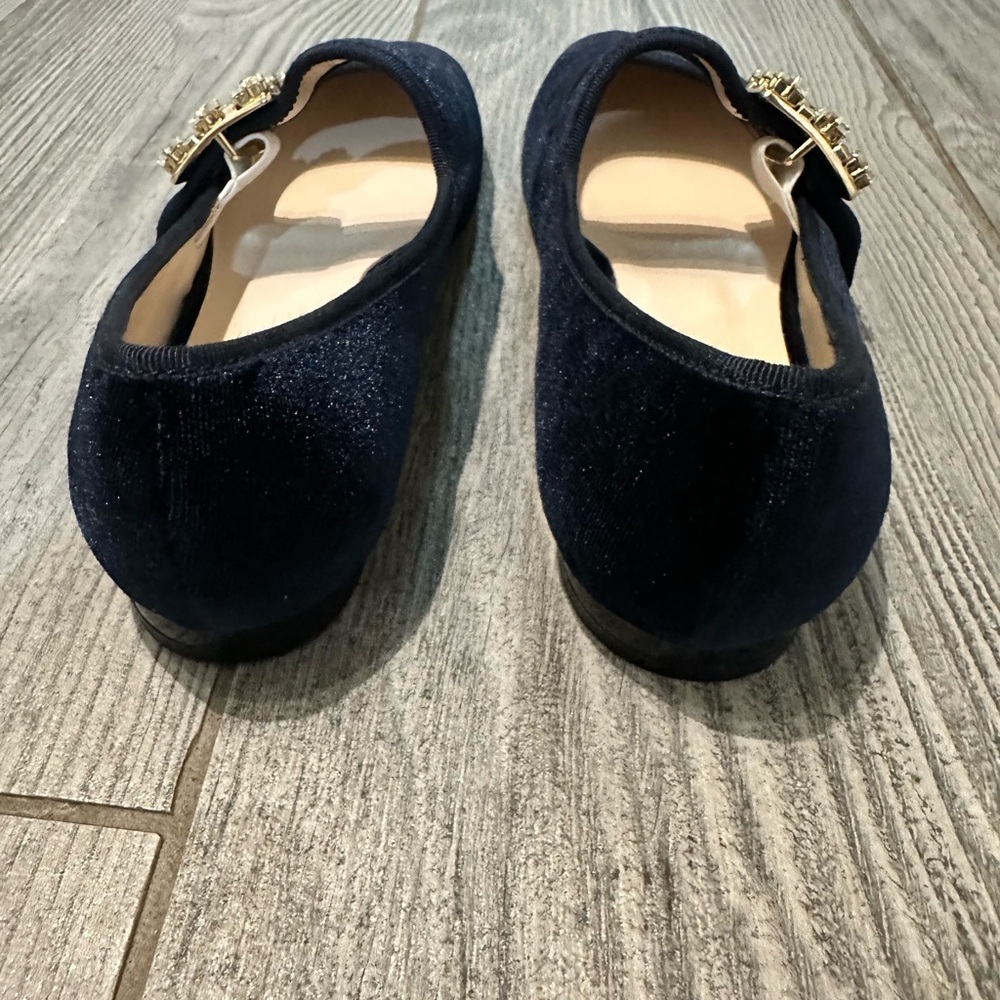 Roger Vivier Très Vivier Strass Crystal-embellished Velvet MaryJane Ballet Flats - Picture 8 of 14